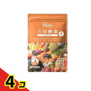 万田酵素 GINGER(ジンジャー) ペースト(分包)タイプ 2.5g× 31包 4個セット