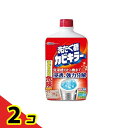 洗たく槽カビキラー 塩素系 液体タイプ 550g 2個セット