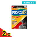 第2類医薬品 サロンパスEX温感 40枚入 2個セット