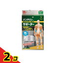バンテリンコーワサポーター 腰用 男女兼用 ふつうMサイズ 1枚入 (シャイニンググレー) 2個セット