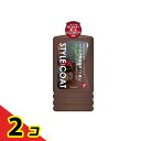 リンレイ スタイルコート ダーク 1L 2個セット