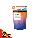 Levata レバタ スカルプスパシャンプー 詰め替え用 300mL 2個セット