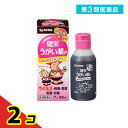 第3類医薬品 ケンエー 健栄うがい薬P 120mL 2個セット