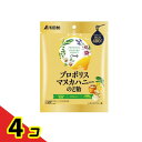 浅田飴 プロポリスマヌカハニーのど飴 60g 4個セット
