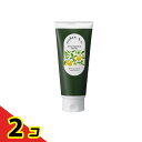 凜恋(リンレン) R スカルプ&ヘアマスク ミント&レモン 150g 2個セット