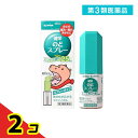 第3類医薬品 ケンエー 健栄のどスプレー ミントの香り 25mL 2個セット
