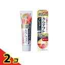 カムテクト プレミアム 歯ぐきケア 115g (10%増量品) 2個セット