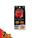 GEX ベタセーフ 80mL 2個セット