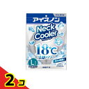 アイスノン ネッククーラーアイスグレー Lサイズ 1個入 2個セット