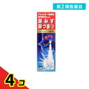 第2類医薬品 ナーザルスキット 30mL 4個セット