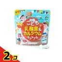 こども乳酸菌カルシウムチュアブル 90粒 2個セット