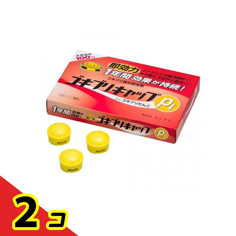 タニサケ ゴキブリキャップP1 誘引殺虫剤 10g× 15個入 2個セット