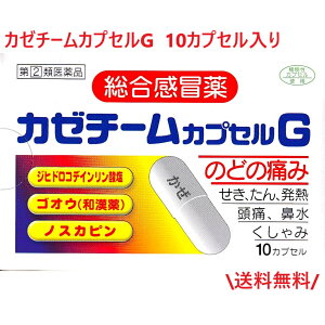 【指定第2類医薬品】 カゼチームカプセルG 10カプセル 総合感冒薬 ゴオウ 和漢薬配合 配置薬 富山のくすり かぜチーム