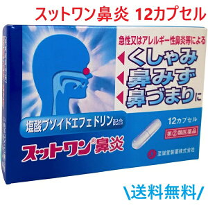 【指定第2類医薬品】 鼻炎薬 スットワン鼻炎(12カプセル) プソイドエフェドリン 鼻水 鼻づまり 1000円ポッキリ 送料無料