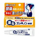 【第3類医薬品】【メール便】塗るズッキノン軟膏 15g 肩がこって頭痛**ポスト開口部の高さ4cm以上必要です