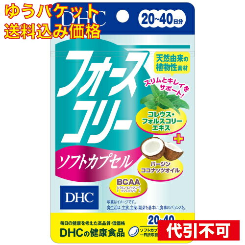 【ゆうパケット送料込み】DHC　フォースコリーソフトカプセル　20日 4511413405529