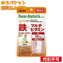 【ゆうパケット送料込み】鉄×マルチビタミン 20日