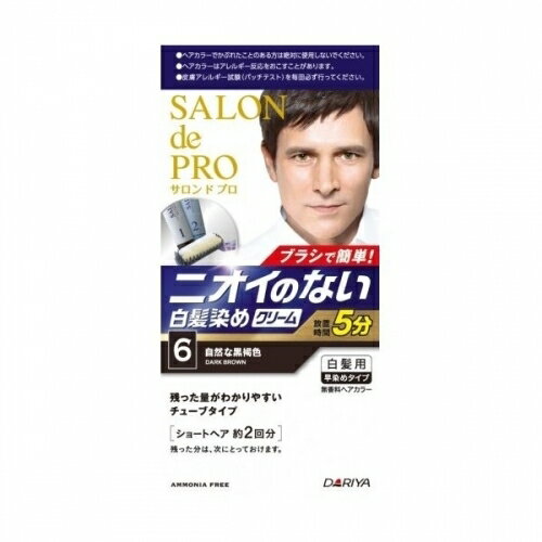 無香料ヘアカラー メンズスピーディ(白髪用) / 本体 / 【6】自然な黒褐色 / 1剤40g・2剤40g