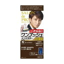 サロンドプロ ワンプッシュメンズカラー(白髪用)6 ダークブラウン1剤50g・2剤50g・ボリュームシャンプー10mL