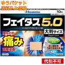 【ゆうパケット送料込み】【第2類医薬品】(#)フェイタス5.0 大判 10枚