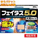 【ゆうパケット送料込み】【第2類医薬品】 (#)フェイタス5.0大判 20枚