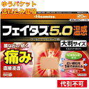 【ゆうパケット送料込み】【第2類医薬品】 (#)フェイタス5.0温感大判 20枚