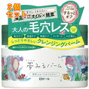 夢みるバーム 海泥スムースモイスチャー×2個