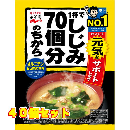 永谷園　1杯でしじみ70個分のちから　みそ汁　袋58．8g×40個