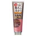 CIELO （シエロ） カラートリートメント 全体用 ダークブラウン 230g