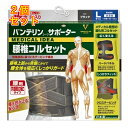 バンテリンコーワサポーター 腰椎コルセット ブラックL 大きめサイズ×...(4)