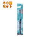 デンタルプロ ブラックウィズ フィールフレッシュ ふつう 1本 ※色の指定不可×60個