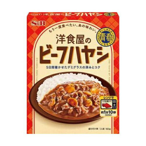 青春のごちそう 洋食屋のビーフハヤシ 160g×6個