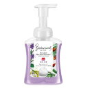 ミューズ 薬用せっけん 泡ハンドソープ ボタニカル 本体 ボトル 250mL