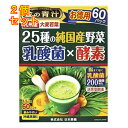 金の青汁 25種の純国産野菜 乳酸菌×酵素 60包×2個(4)