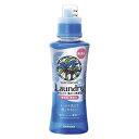 ヤシノミ洗たく洗剤 濃縮タイプ 本体 520mL