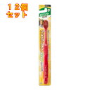 エビス B-3600M プレミアムケア ハブラシ 6列 コンパクト ふつう※色はお選び頂けません×12個(4)