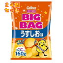 カルビー ポテトチップス ビッグバッグ うすしお味 160g×24個