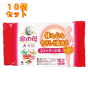 命の母カイロ 貼るタイプ 10個入×10個