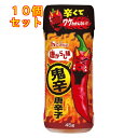 ハウス食品 唐がらし族 ＜鬼辛＞ 唐辛子 45g×10個