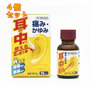 【第2類医薬品】 パピナリン 15ml×4個