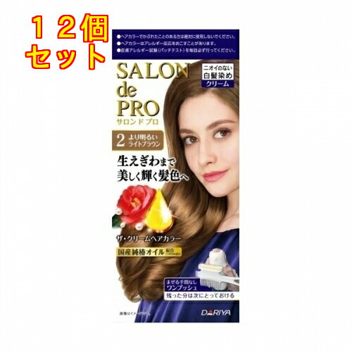 サロンドプロ　ザ・クリームヘアカラー（白髪用）2＜より明るいライトブラン＞×12個1剤50g・2剤50g