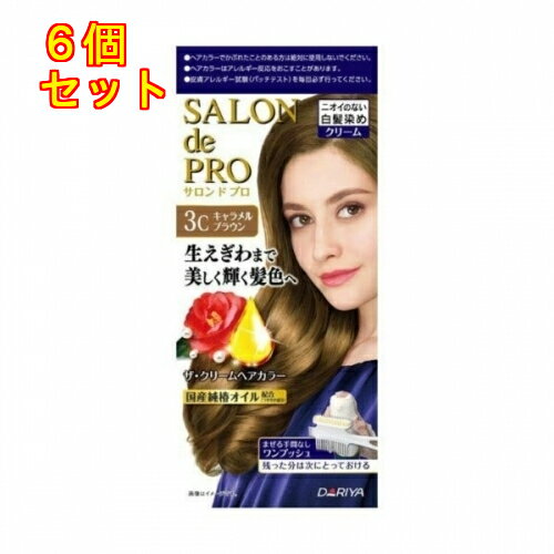 サロンドプロ　ザ・クリームヘアカラー（白髪用）3C＜キャラメルブラウン＞×6個1剤50g・2剤50g