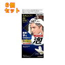 サロンドプロ 泡のヘアカラーEX メンズスピーディ(白髪用)<ダークブラウン>×6個