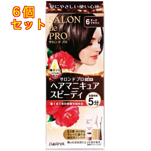 サロンドプロヘアマニキュア・スピーディ　6×6個