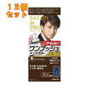 サロンドプロ ワンプッシュメンズカラー(白髪用)6 ダークブラウン×12個1剤50g・2剤50g・ボリュームシャンプー10mL