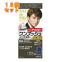 サロンドプロ ワンプッシュメンズカラー(白髪用)6A 深みのあるアッシュブラウン×12個1剤50g・2剤50g・ボリュームシャンプー10mL