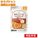 【ゆうパケット送料込み】食育レシピR12きのこハンバーグ（豆腐）　80g