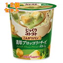 じっくりコトコト こんがりパン 濃厚ブロッコリーチーズポタージュ 21.7g×12個