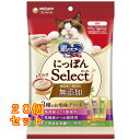 銀のスプーン 三ツ星グルメ おやつにっぽんSELECT 3種のお魚味アソート 108g×20個