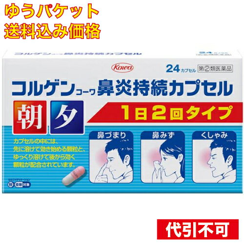 【ゆうパケット送料込み】【第(2)類医薬品】 コルゲンコーワ 鼻炎持続カプセル 24カプセル 【セルフメディケーション税制対象】のサムネイル
